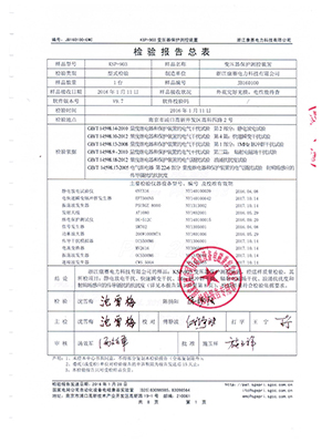 綜保檢驗報告總結3